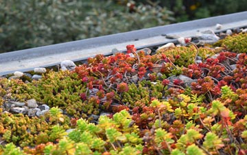the cost of Parney Heath green roof installation